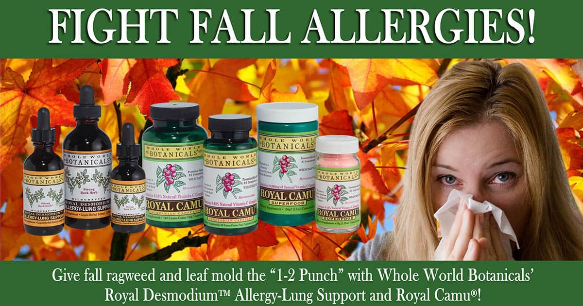 Autumn Airborne Allergies