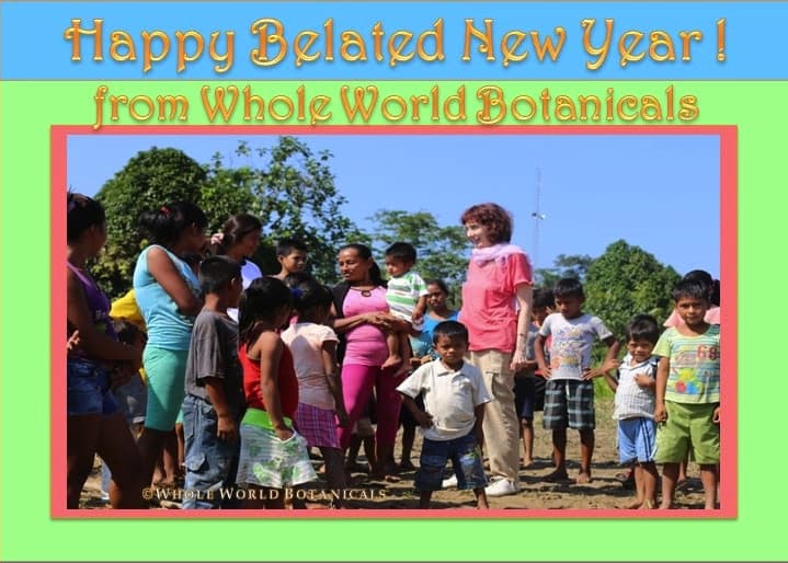 2016 WWB New Year's Card