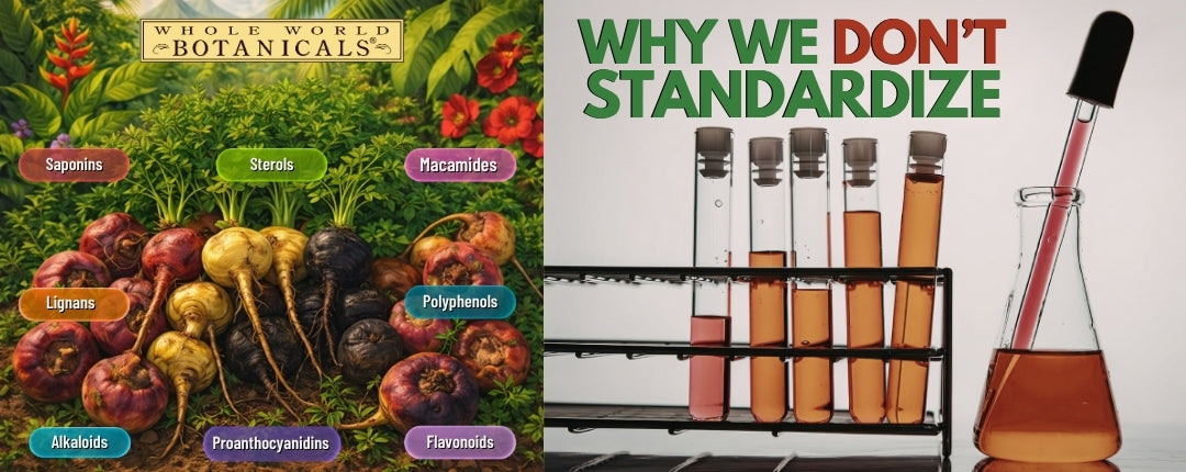 Why We Don’t Standardize Our Botanicals (And Why That’s a Good Thing!)