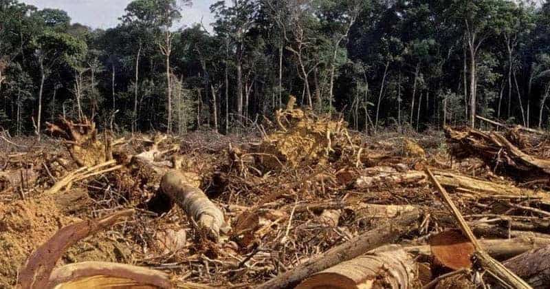 Amazon Deforestation