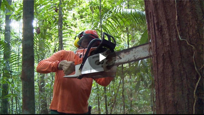 Brazil's president-elect threatens Amazon rainforest