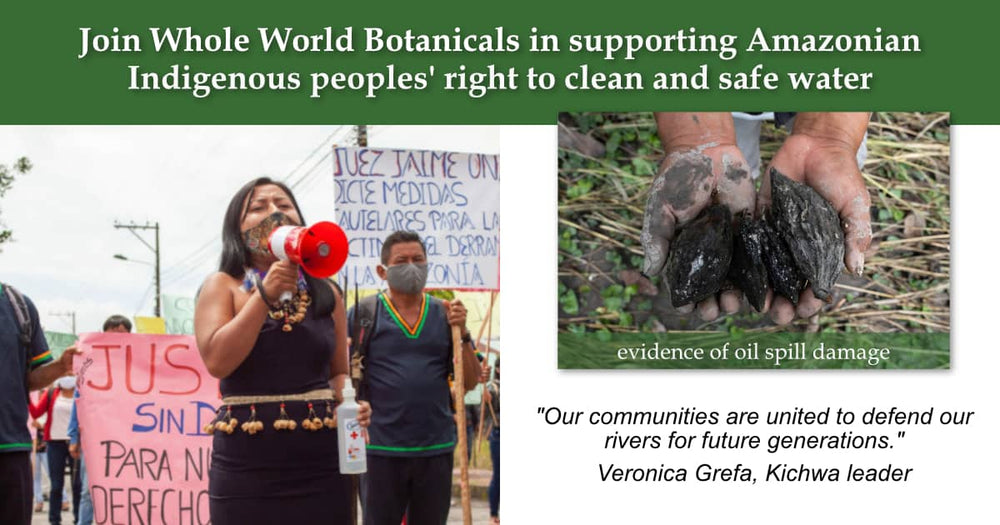 Join Whole World Botanicals in supporting Amazonian Indigenous peoples' right to clean and safe water