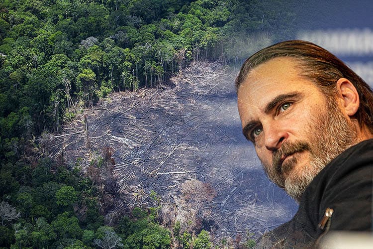 Oscar Winner Joaquin Phoenix's New Film Sounds Alarm on Destruction of Amazon Rainforest