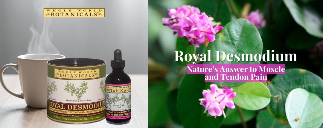 Royal Desmodium: Nature’s Answer to Muscle & Tendon Pain