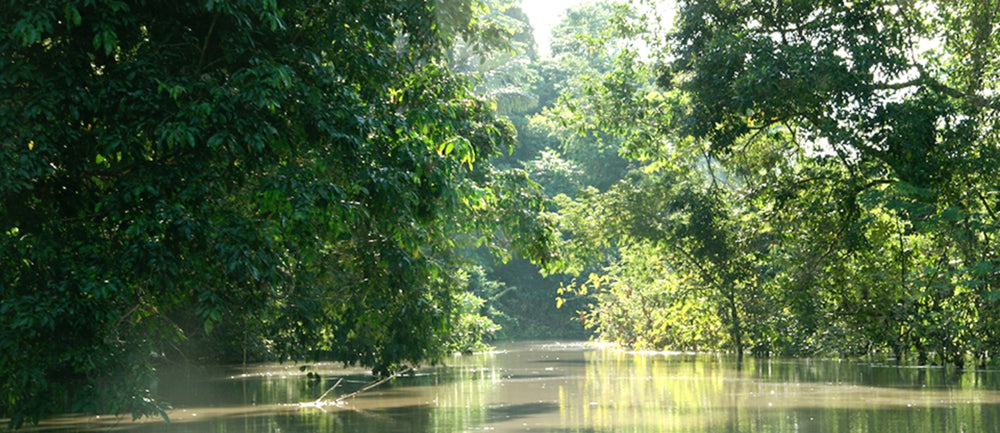 Some Positive News for Nature’s Pharmacy