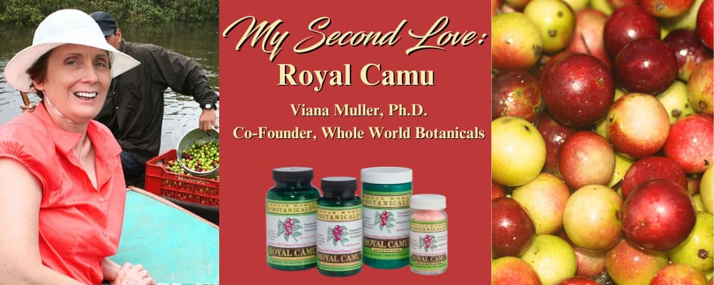 My Second Love: Royal Camu