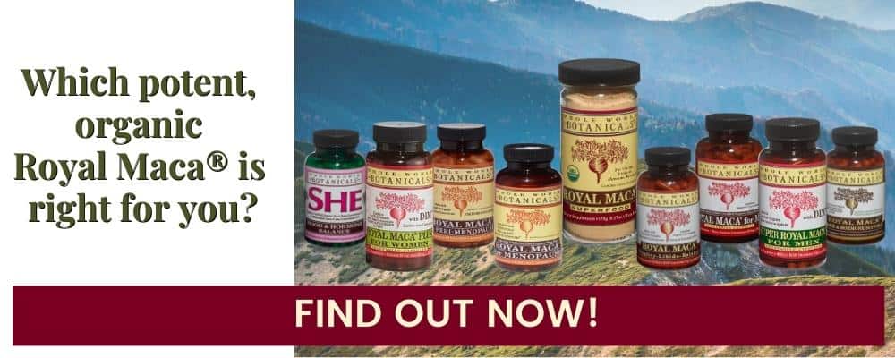 Which Royal Maca Product is Right for You?