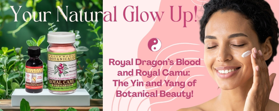 Get a Natural Glow Up with   Royal Dragon’s Blood and Royal Camu