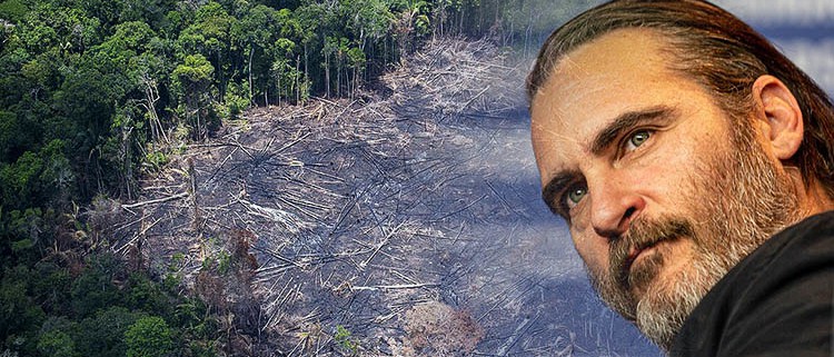 Oscar Winner Joaquin Phoenix's New Film Sounds Alarm on Destruction of Amazon Rainforest