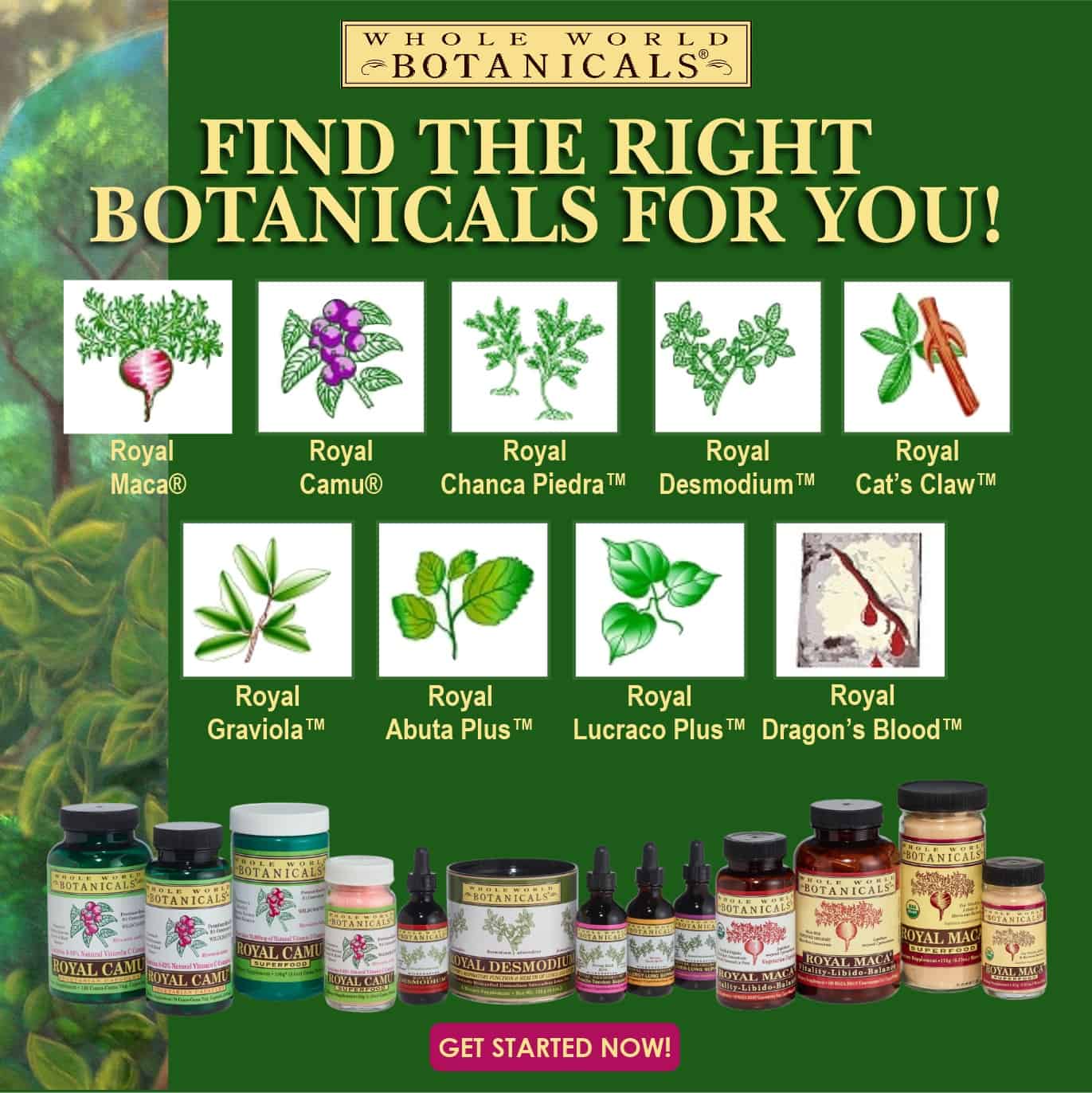 Find the Right Botanicals